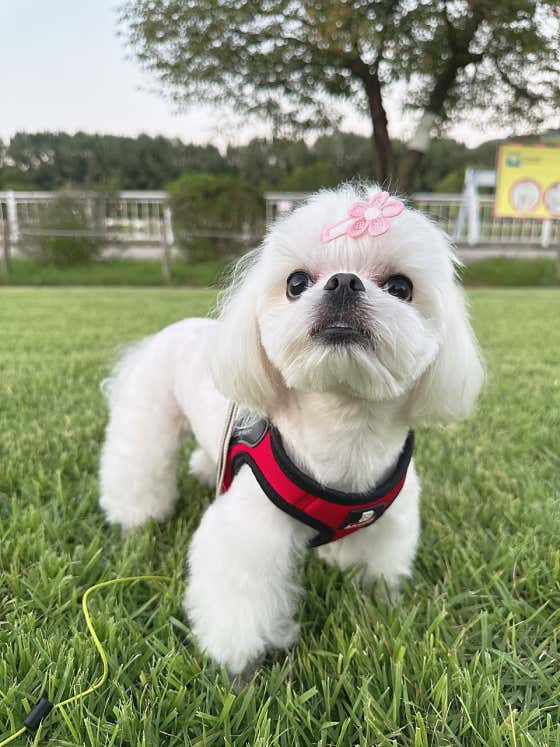 오늘도뽀송