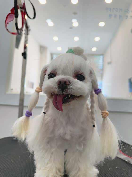 오늘도뽀송 · 네이버 지도·플레이스 7