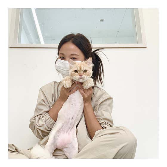 다온냥 · 네이버 지도·플레이스 4