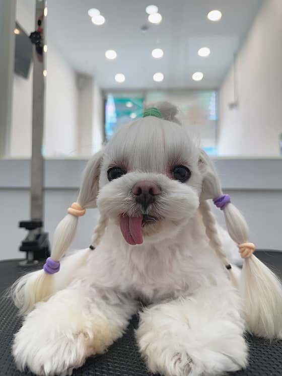오늘도뽀송 · 네이버 지도·플레이스 8
