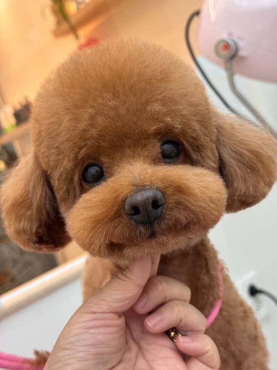 에코몽 라피에스타점 · 네이버 지도·플레이스 2