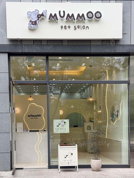 멈무펫살롱 · 네이버 지도·플레이스 2