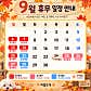 미용오개 애견미용실 서초직영점 · 네이버 지도·플레이스 5