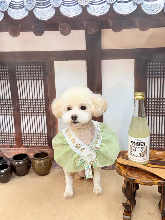 몽글몽글 · 네이버 지도·플레이스 2