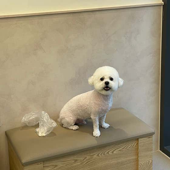 뿌꾸까꾸 · 네이버 지도·플레이스 7