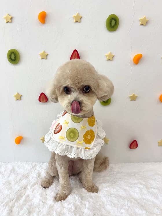 복실복실 · 네이버 지도·플레이스 7