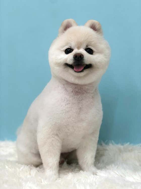 에어그룸 · 네이버 지도·플레이스 2