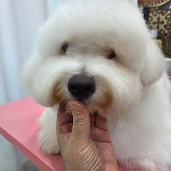 따숩개하우스