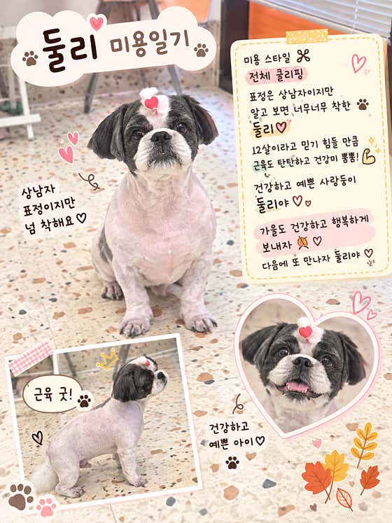 방긋방긋애견미용실 · 네이버 지도·플레이스 10