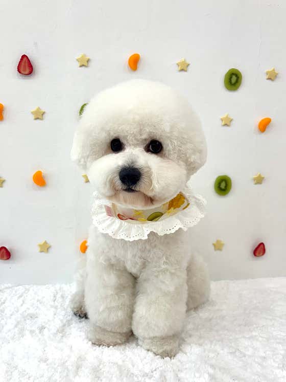 복실복실 · 네이버 지도·플레이스 9