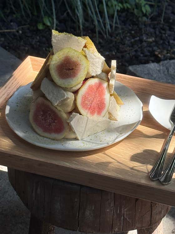 이이알티 대구