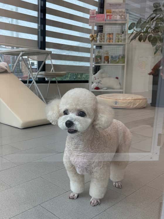 땡스미유 · 네이버 지도·플레이스 6