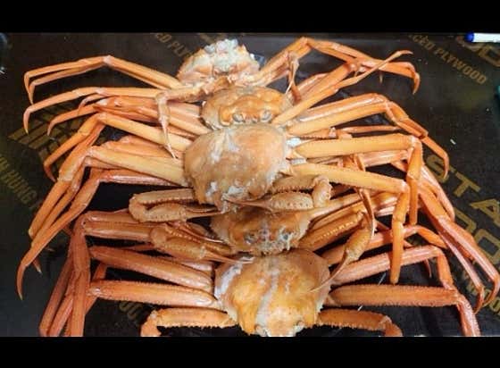 홍게 무한리필1인(성인) 메뉴 사진(네이버)