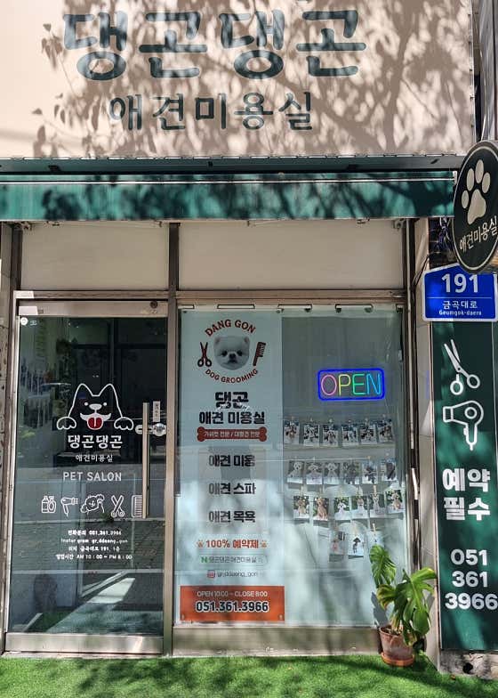 댕곤댕곤 애견미용실 · 네이버 지도·플레이스 2