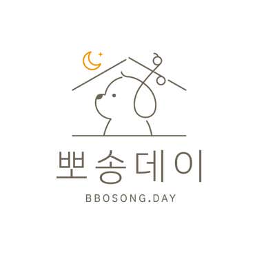 뽀송데이