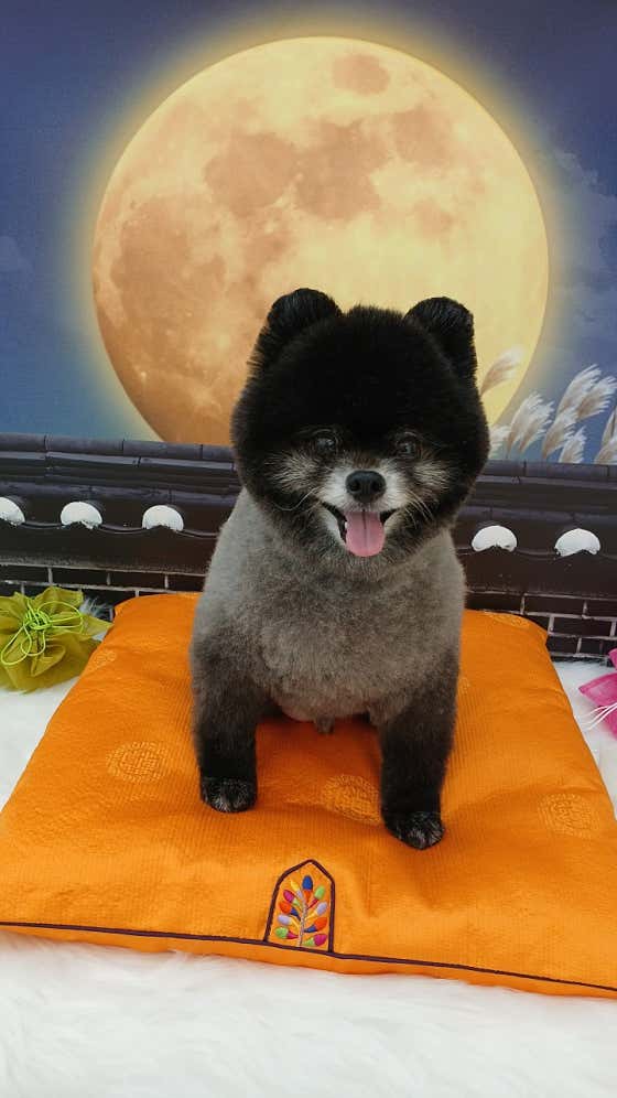 하트몽