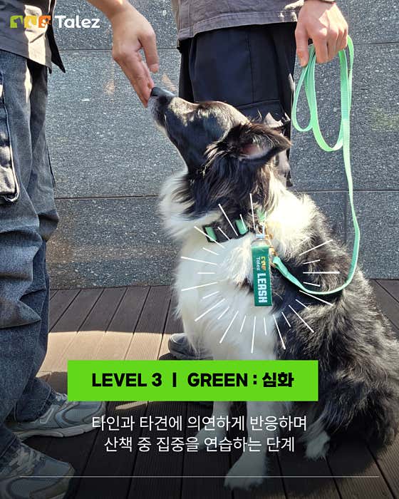 테일즈 반려견동반&교육 카페 · 네이버 지도·플레이스 5