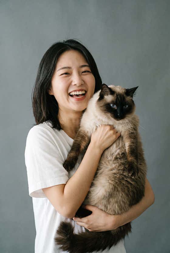 뱅봉 · 네이버 지도·플레이스 10