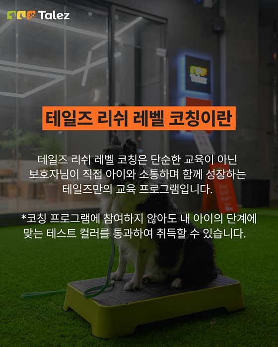 테일즈 반려견동반&교육 카페 · 네이버 지도·플레이스 2