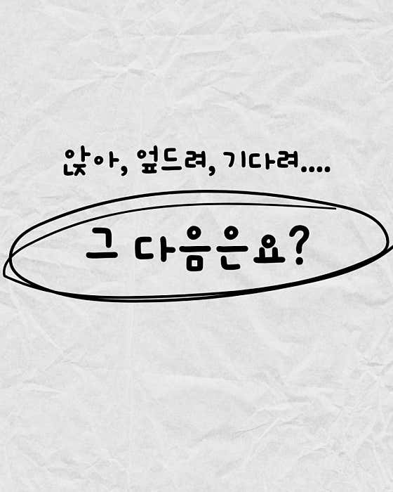 품독 · 네이버 지도·플레이스 9