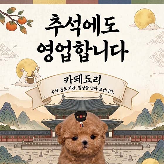 카페됴리