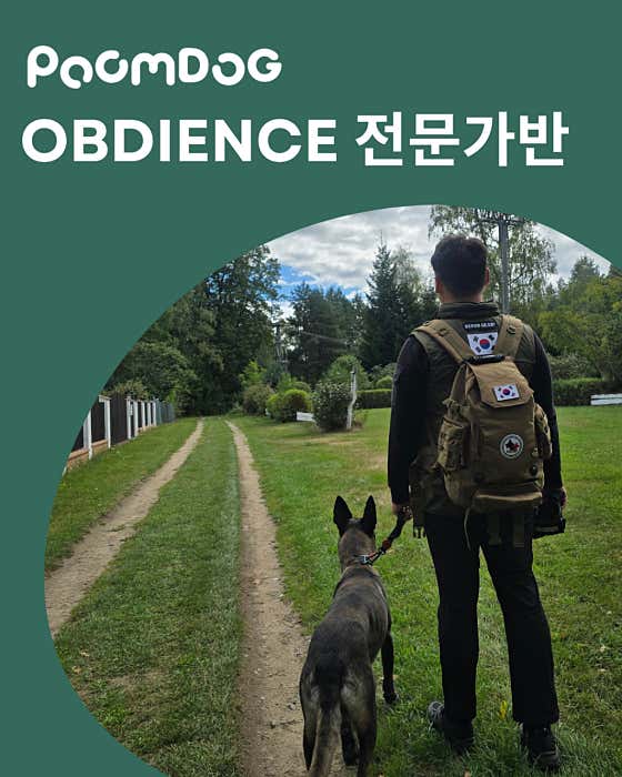 품독 · 네이버 지도·플레이스 2