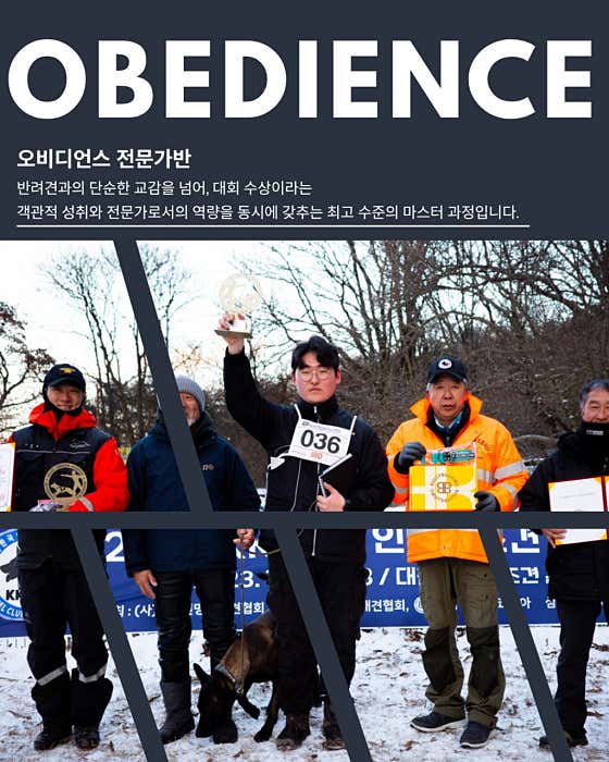 품독 · 네이버 지도·플레이스 4