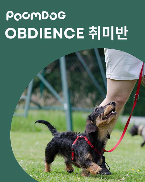 품독 · 네이버 지도·플레이스 8