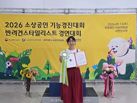 혁신애견미용