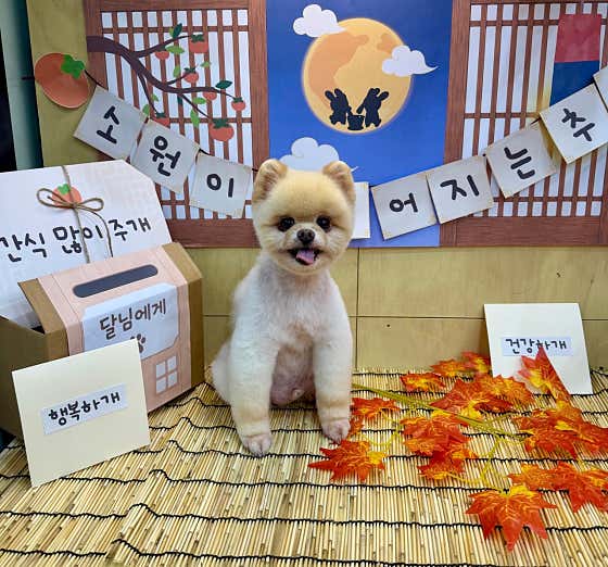 슬기로운 집사생활