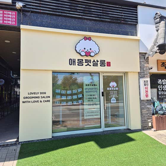 애몽펫살롱 · 네이버 지도·플레이스 2