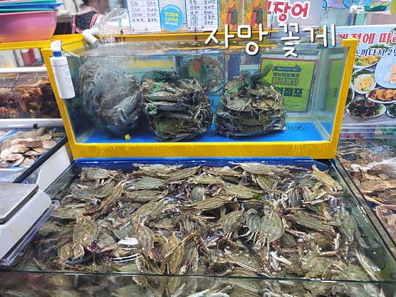 서하네&서해수산 · 네이버 지도·플레이스 7