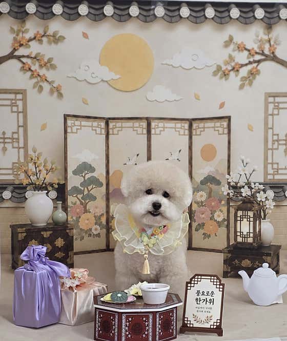 미소짓개 · 네이버 지도·플레이스 8