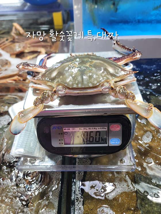서하네&서해수산 · 네이버 지도·플레이스 8