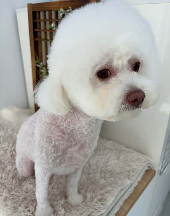 문플러피 · 네이버 지도·플레이스 2