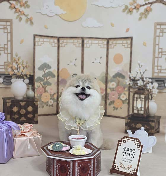 미소짓개 · 네이버 지도·플레이스 9