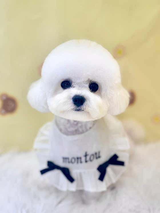 살롱 드 몽뚜 · 네이버 지도·플레이스 2