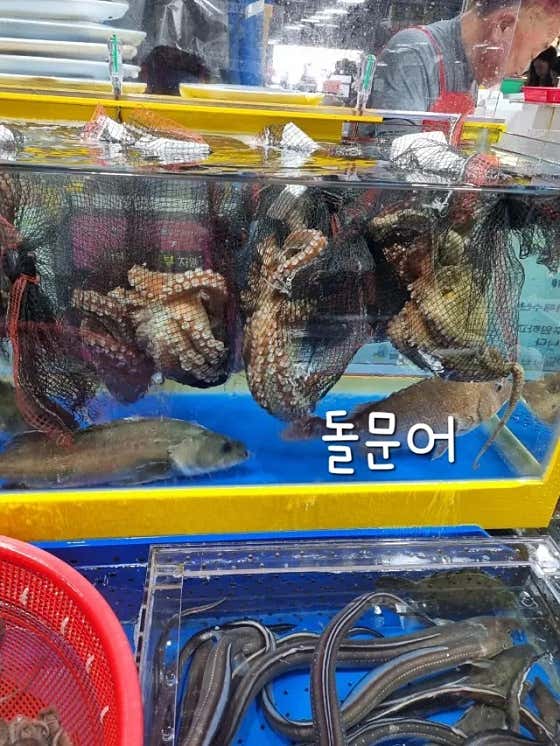 서하네&서해수산 · 네이버 지도·플레이스 6