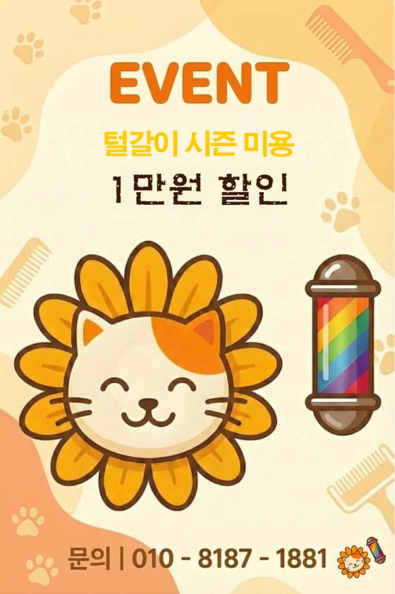 냥바라기