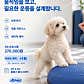 올웨그 반려견 웰니스센터 · 네이버 지도·플레이스 7