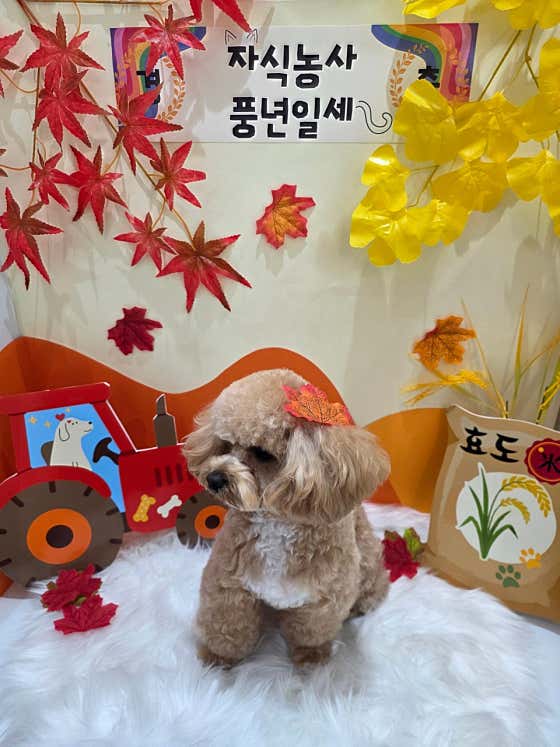꿀별이네 · 네이버 지도·플레이스 10