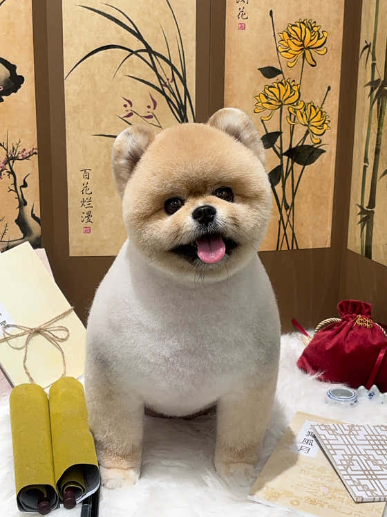 댕실댕실 첨단점