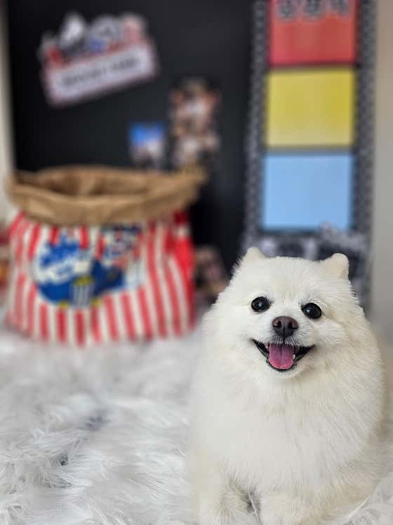몽글하우스