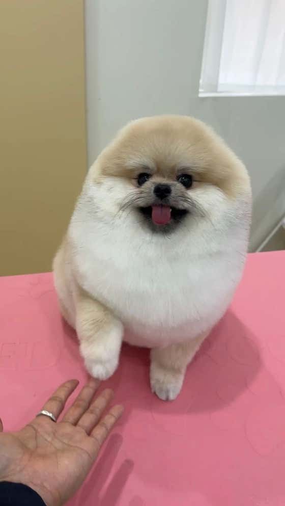 후와후와 · 네이버 지도·플레이스 8