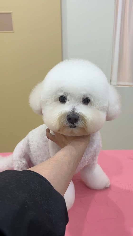 후와후와 · 네이버 지도·플레이스 4