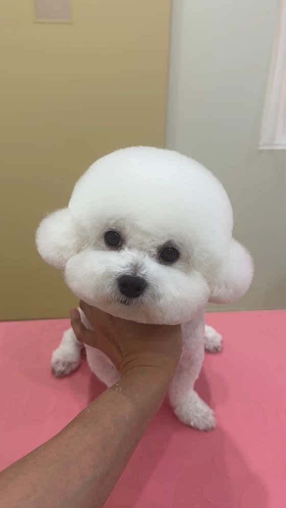 후와후와 · 네이버 지도·플레이스 1