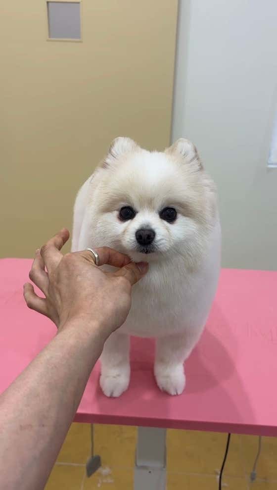 후와후와 · 네이버 지도·플레이스 10