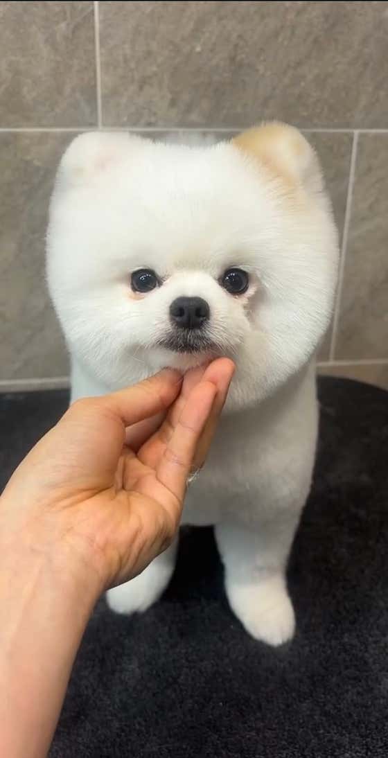 후와후와 · 네이버 지도·플레이스 3