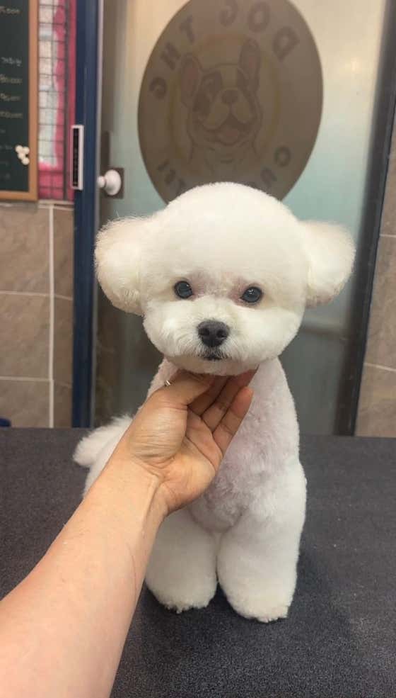 후와후와 · 네이버 지도·플레이스 6