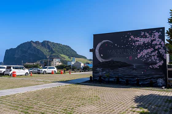 해일리 청명